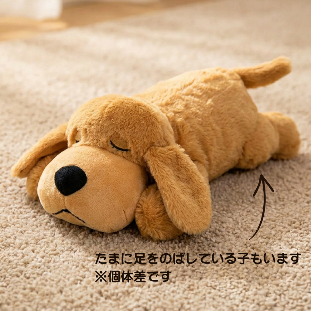 癒しのわんこ