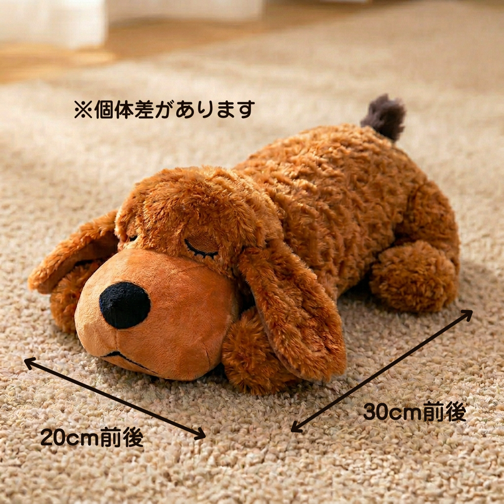 癒しのわんこ