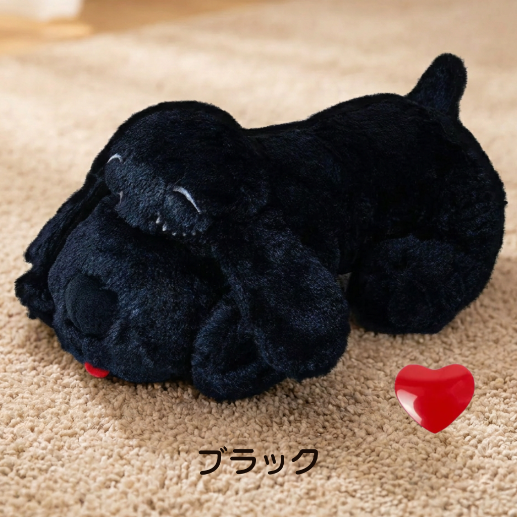 癒しのわんこ