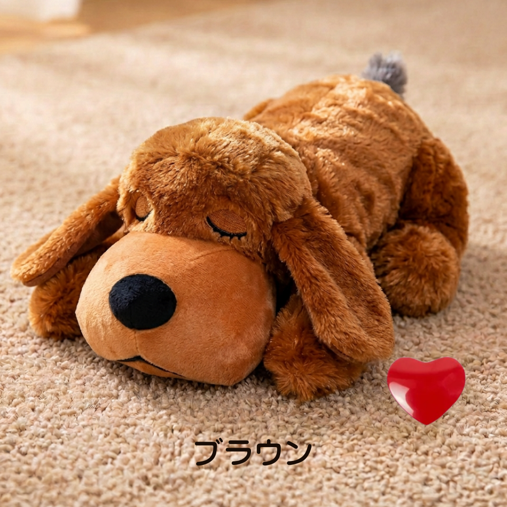 癒しのわんこ