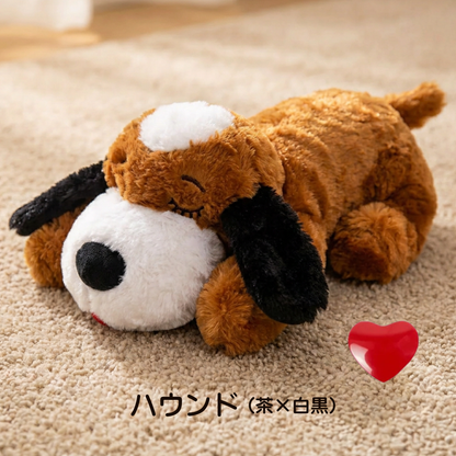 癒しのわんこ