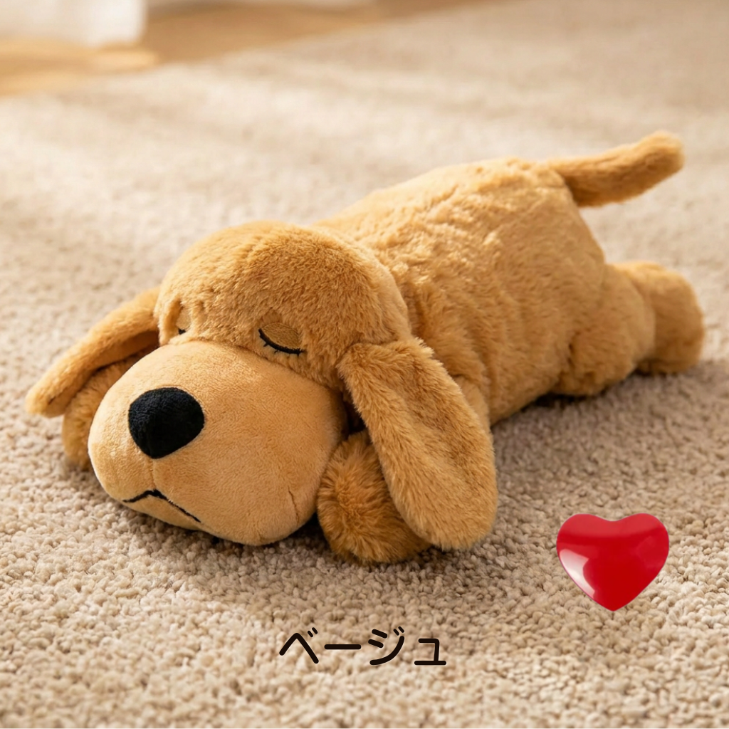 癒しのわんこ