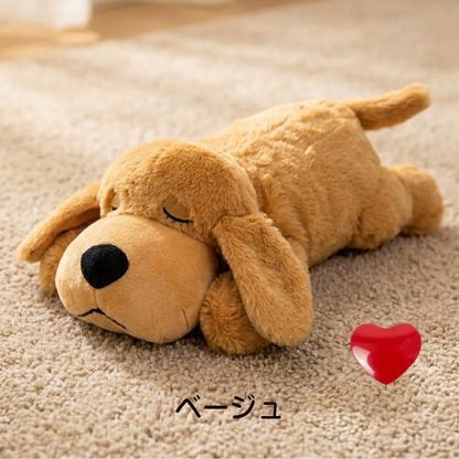 癒しのわんこ